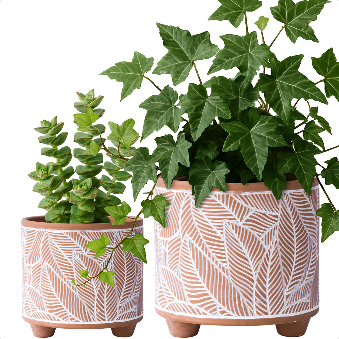 house plant pots with drainage holes Design Clay Pot with Drainage Hole, Style H – D'VINE DEV