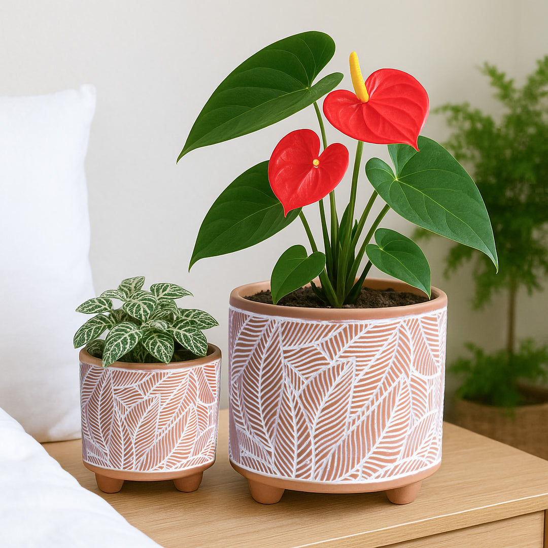 clay water pot for plants Design Clay Pot with Drainage Hole, Style H – D'VINE DEV