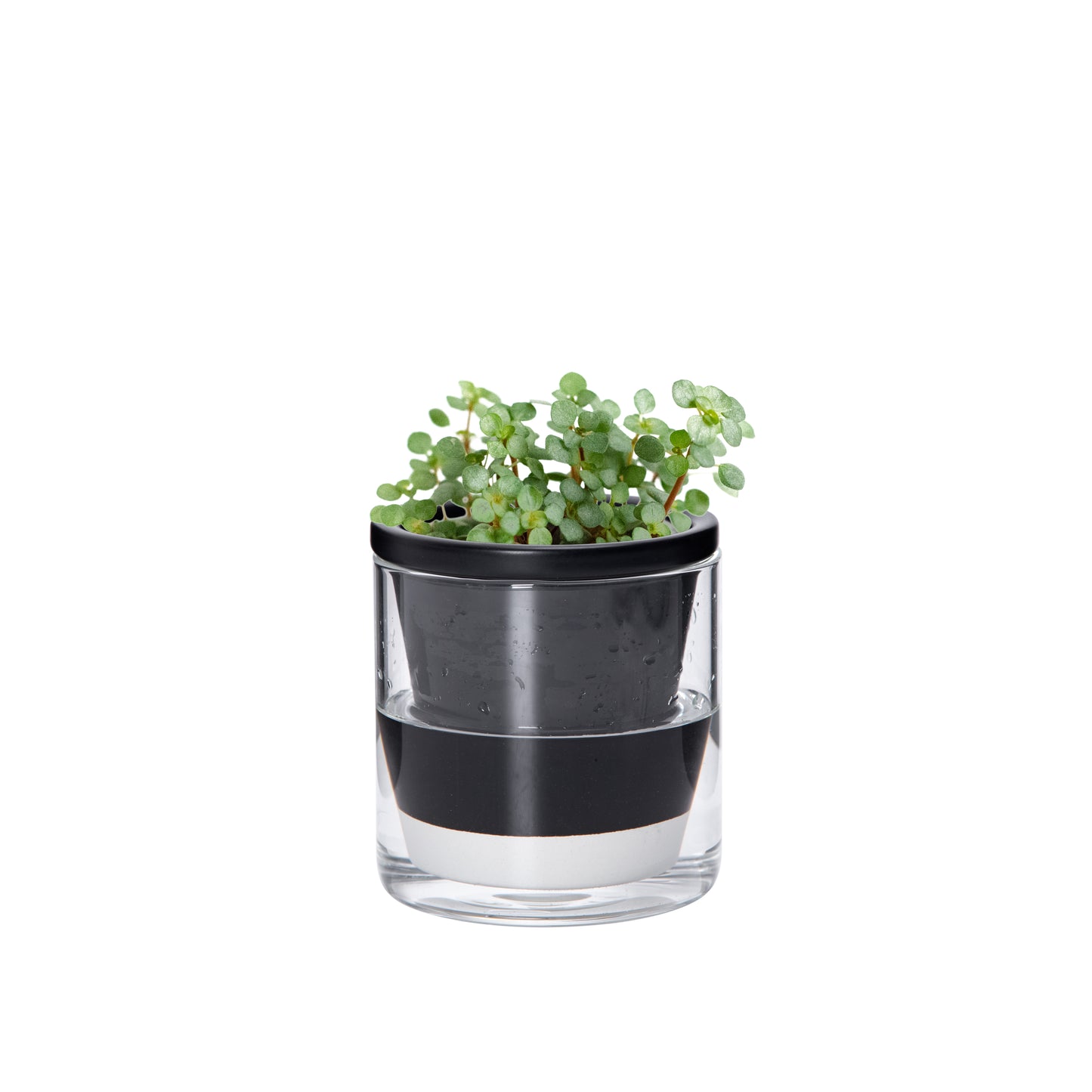 Self Watering Pot for Indoor Plants, Black, 374