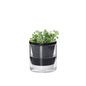 Self Watering Pot for Indoor Plants, Black, 374