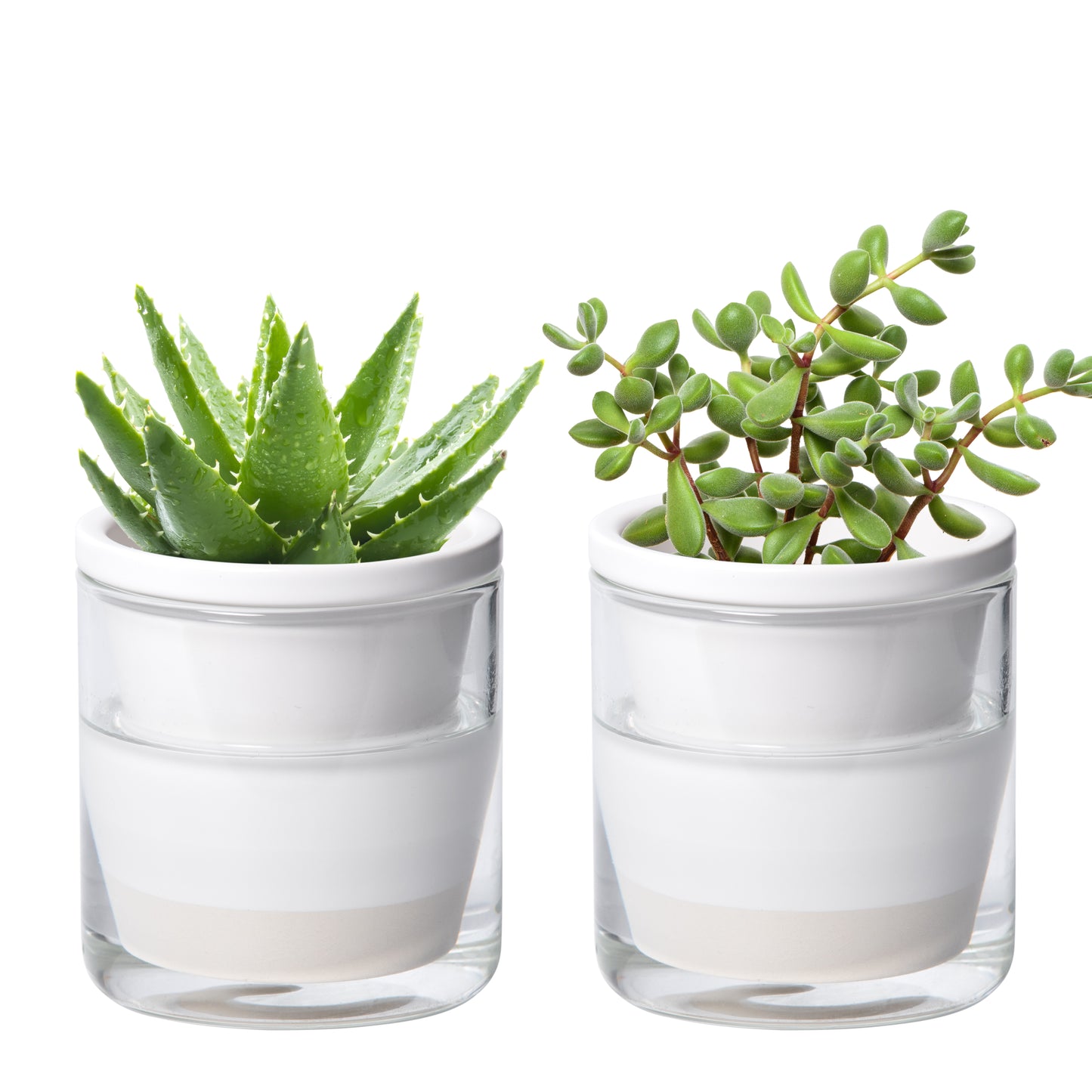 Self Watering Pot for Indoor Plants, White, 373