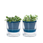 Self Watering Pot for Indoor Plants, Blue, 375