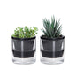 Self Watering Pot for Indoor Plants, Black, 374