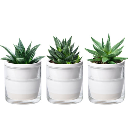 Self Watering Pot for Indoor Plants, White, 373