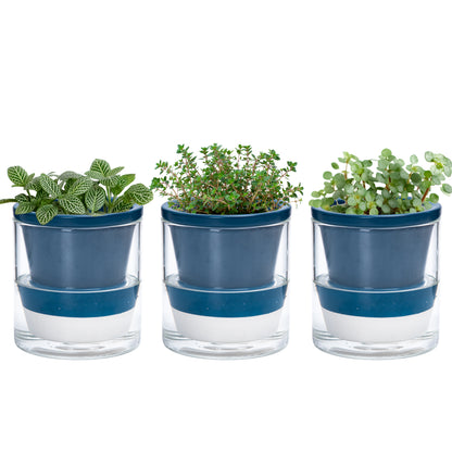 Self Watering Pot for Indoor Plants, Blue, 375