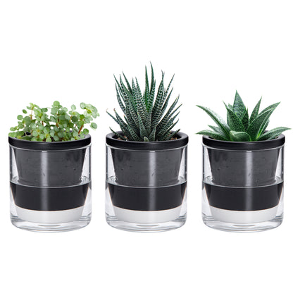 Self Watering Pot for Indoor Plants, Black, 374