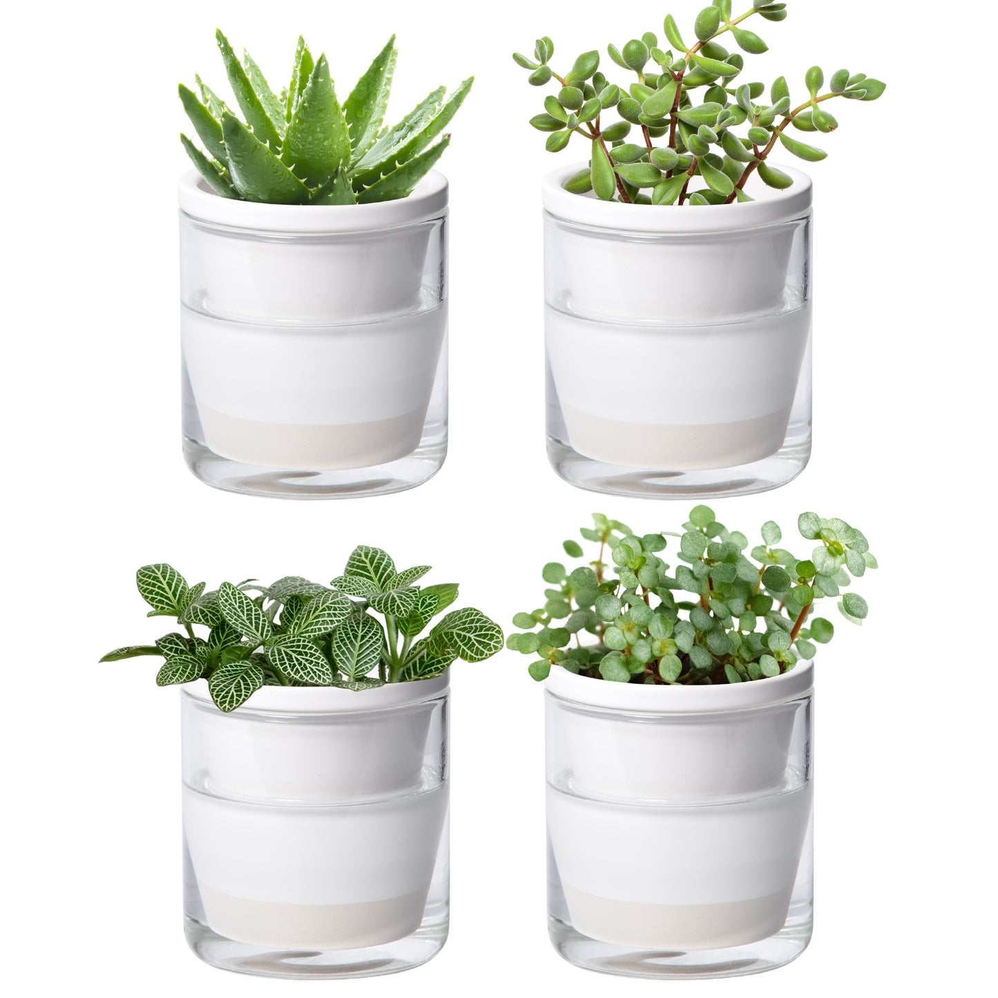 Self Watering Pot for Indoor Plants, White, 373