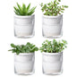 Self Watering Pot for Indoor Plants, White, 373