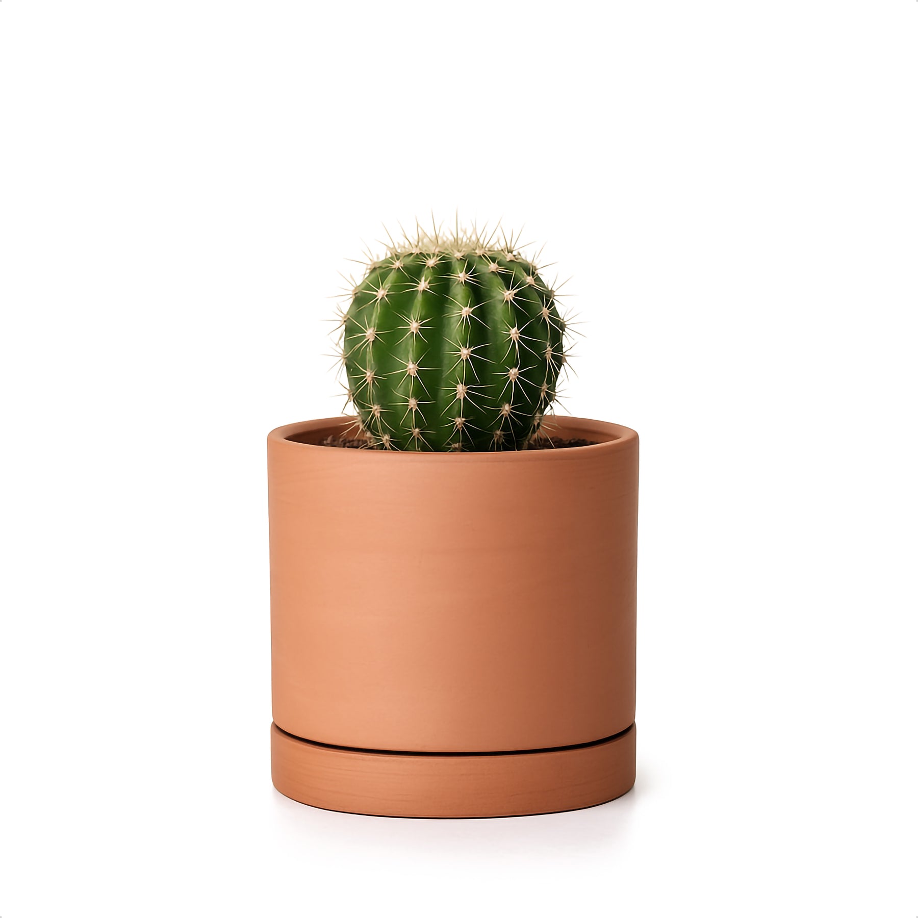4 inch terracotta plant pots Natural Terracotta Material Plants Pot