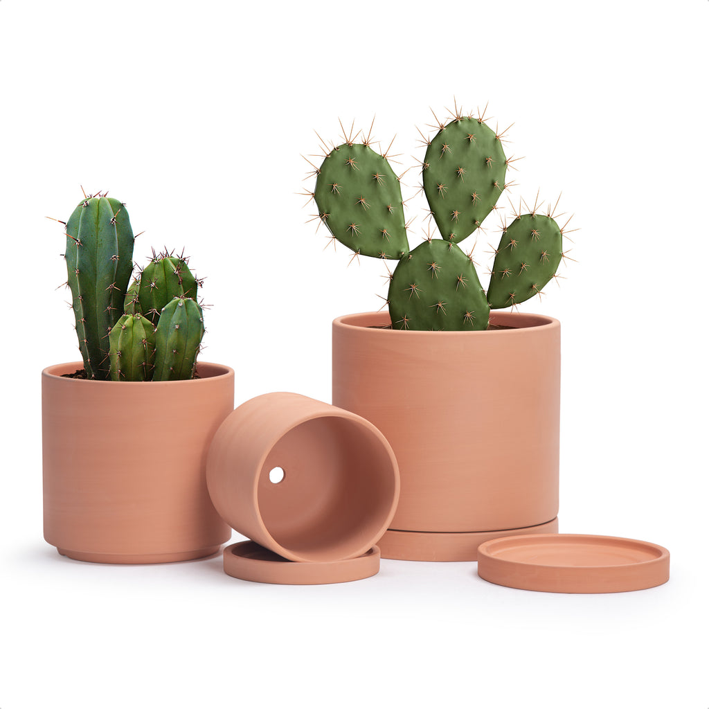 Natural Terracotta Material Plants Pots