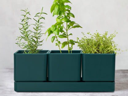 Uncompromising Plastic Herb Garden Planter Set