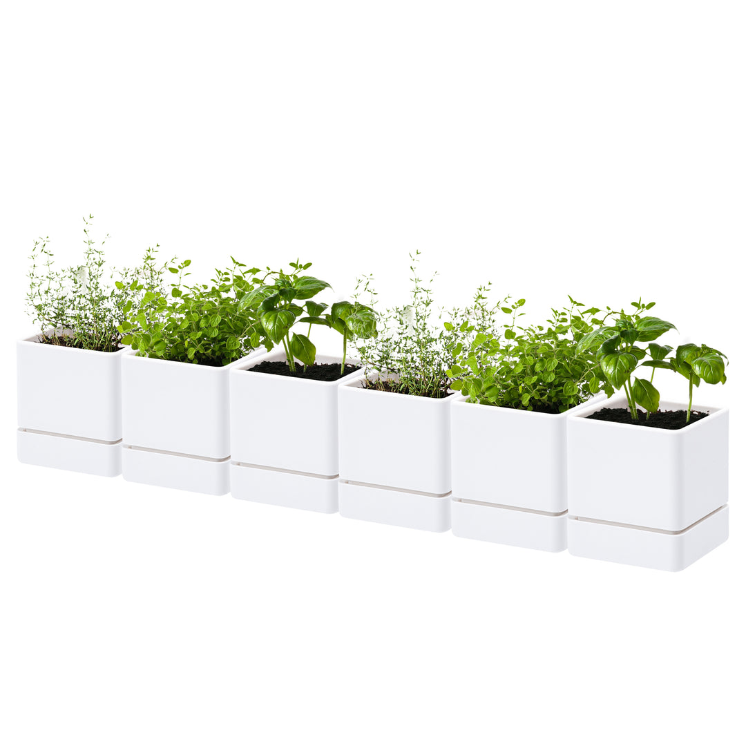 self watering indoor herb planter D'vine Dev