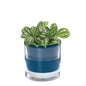 Self Watering Pot for Indoor Plants, Blue, 375