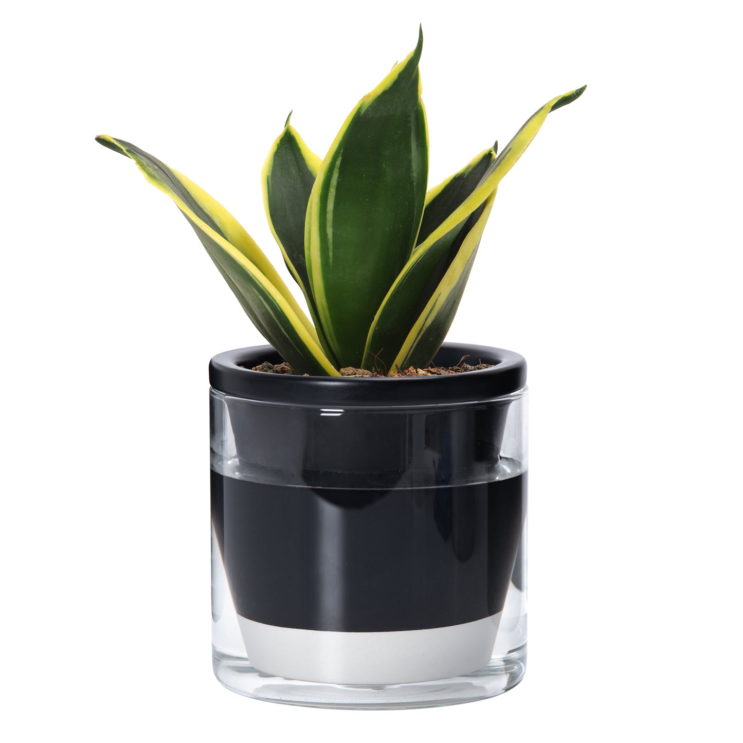 Self Watering Pot for Indoor Plants, Black, 374