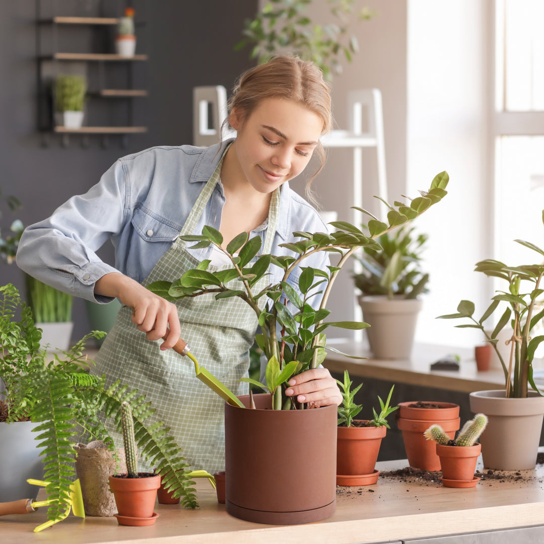 terracotta house plant pots Rust Terracotta Pots, 6 Inch, 40-V