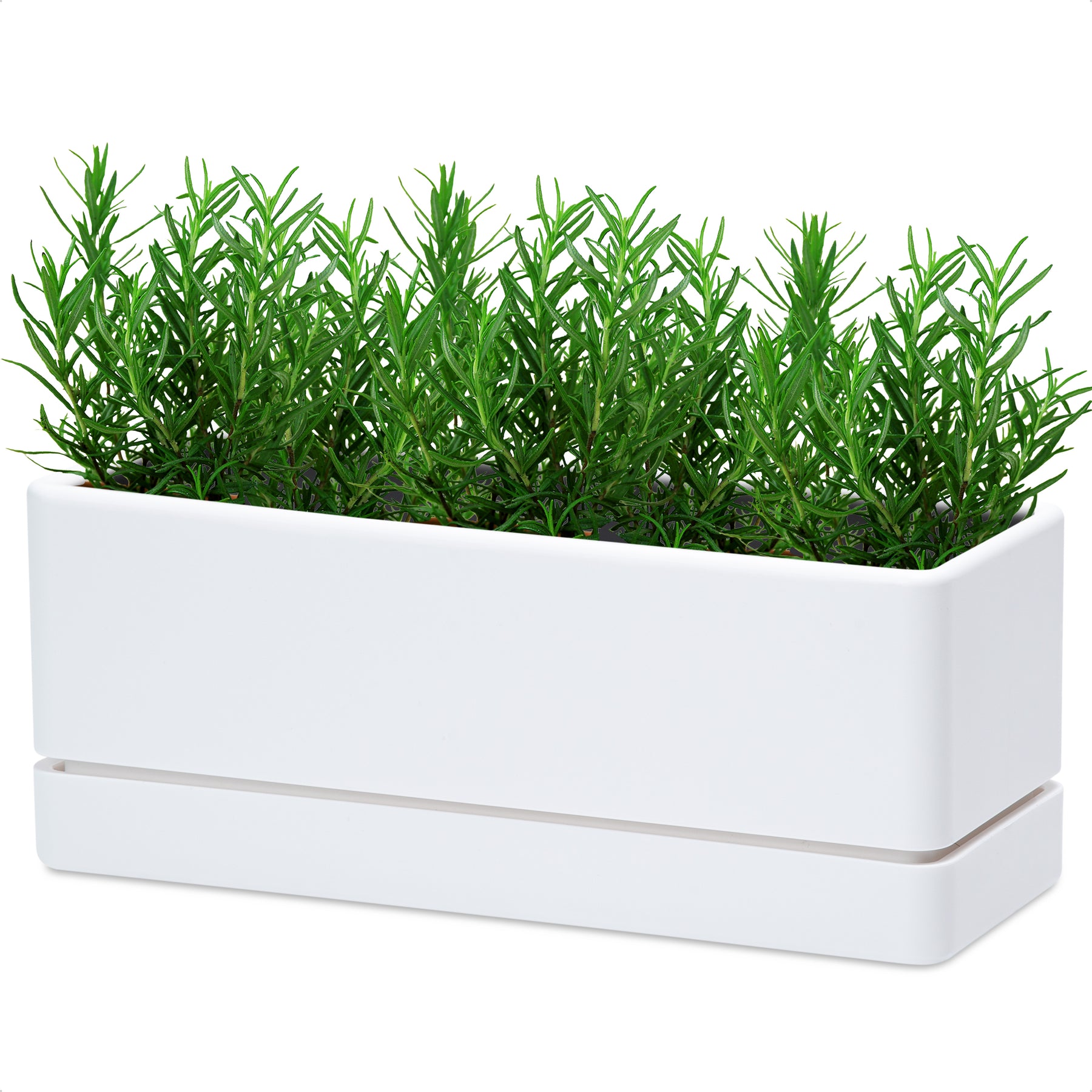 indoor planter boxes for herbs D'vine Dev