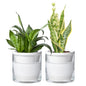 Self Watering Pot for Indoor Plants, White, 373