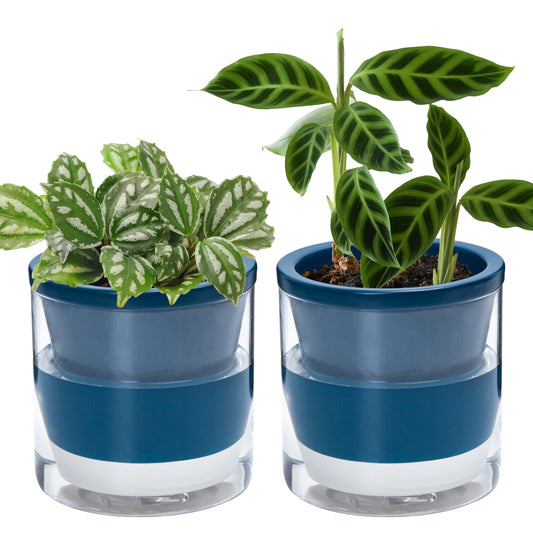 Self Watering Pot for Indoor Plants, Blue, 375