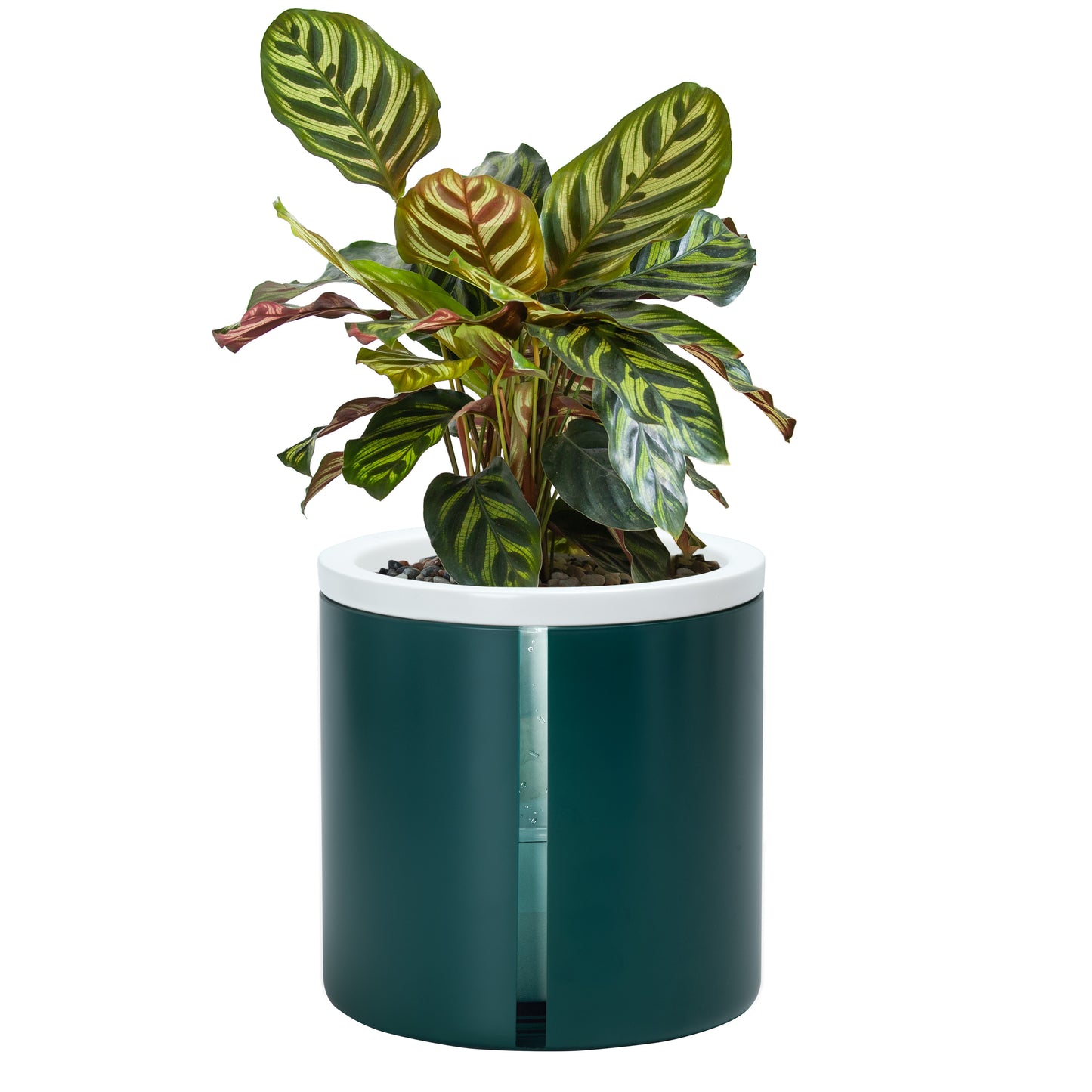 Self Watering Pot for Indoor Plants, Teal, 376