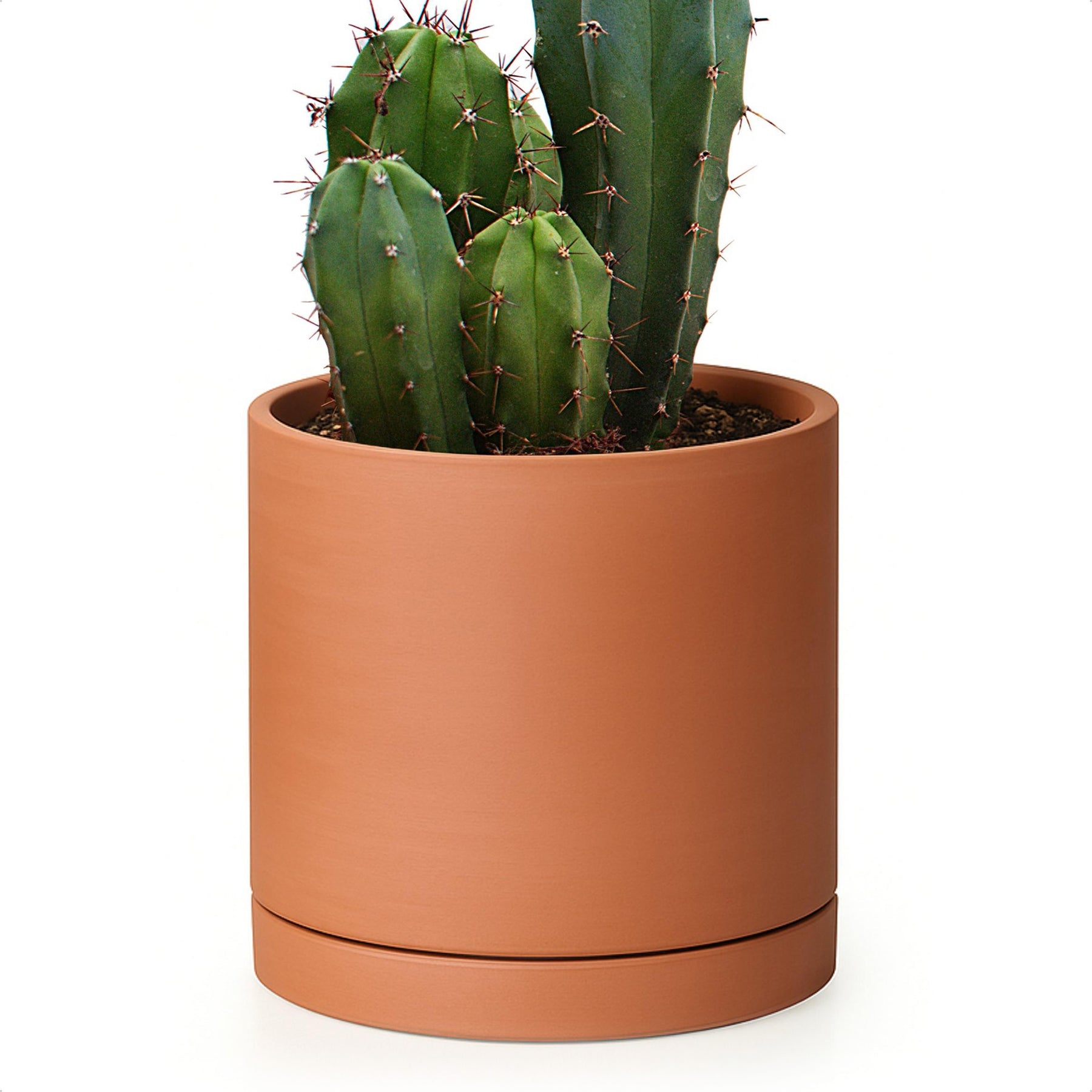 D'vine Dev 6 in. Terracotta Plant Pot with Drainage Hole and Saucer product image