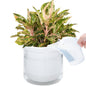 Self Watering Pot for Indoor Plants, White, 373