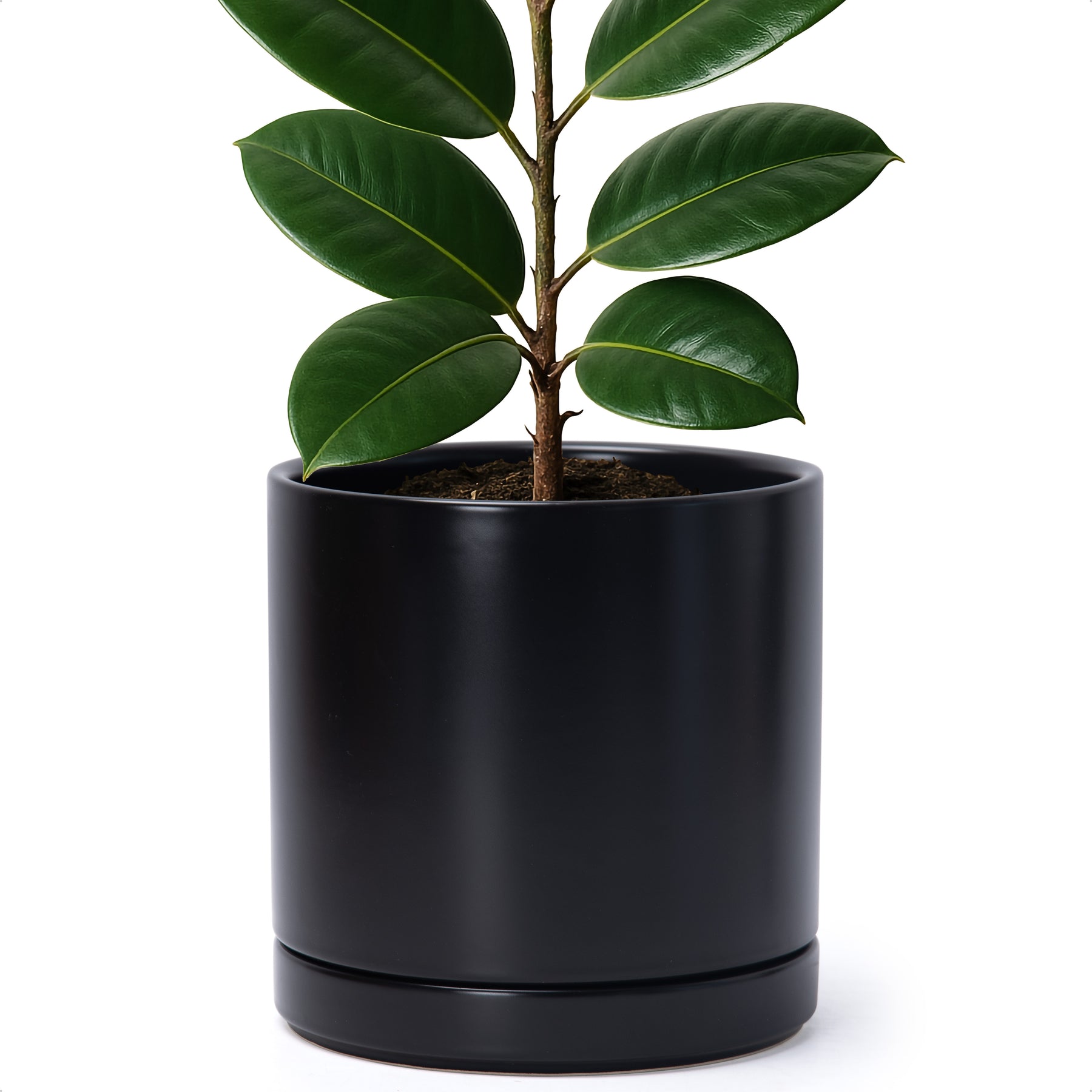 matt black plant pot Cylindrical Ceramic Pot, 8", Black, 94-O – D'VINE DEV