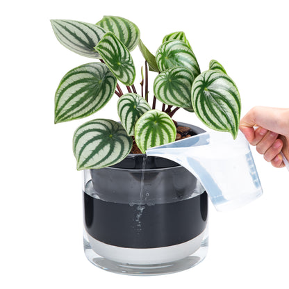 Self Watering Pot for Indoor Plants, Black, 374