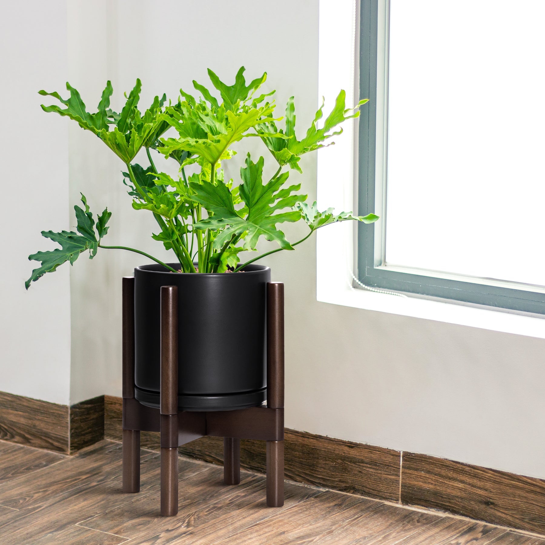 walnut plant pot 8" Ceramic Planter with Walnut Color Stand, Black