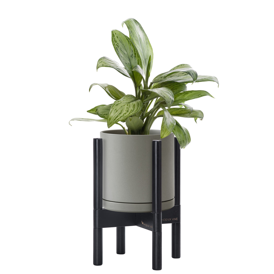 stylish indoor plant pots Ceramic Planter with Walnut Color Stand