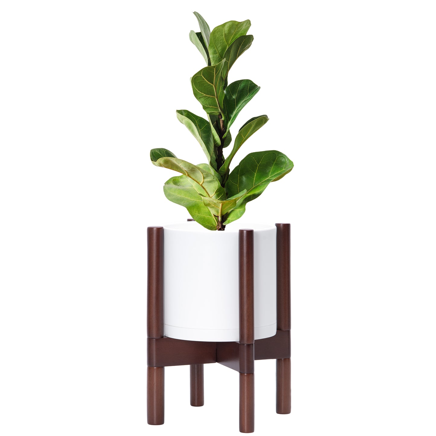 Plastic Planter with Wood Stand