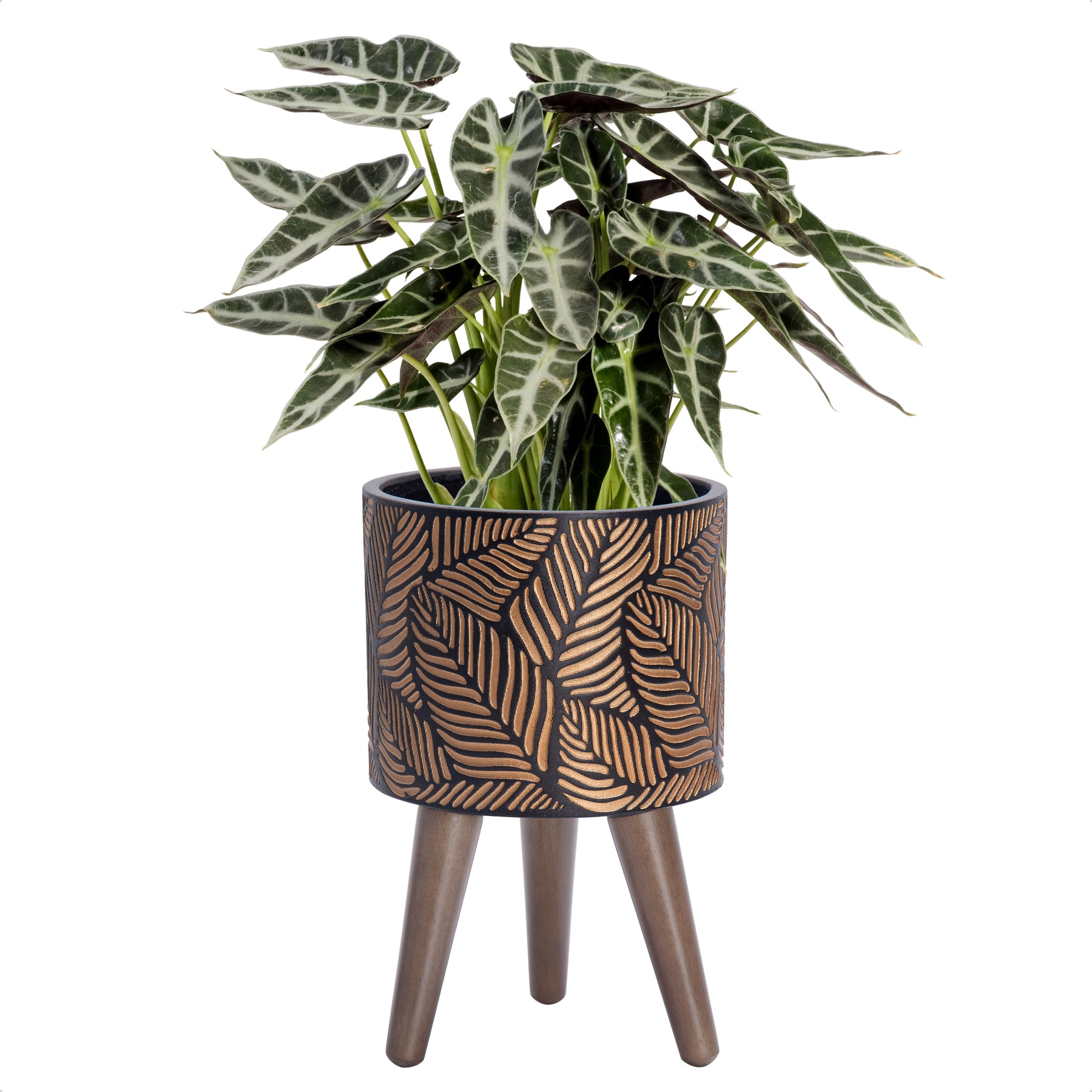 indoor planter with legs D'vine Dev