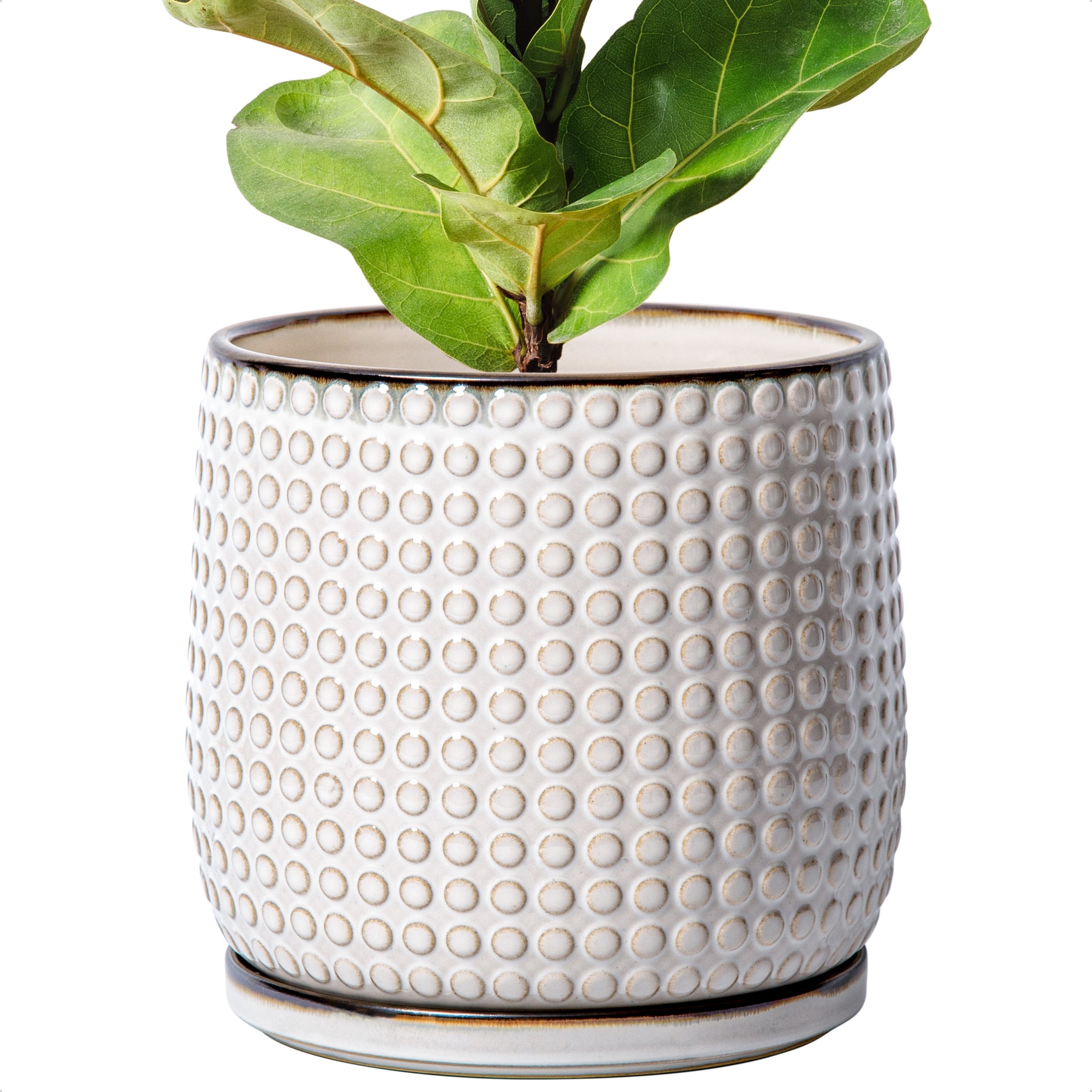 8 inch plant pot ceramic Design Stoneware Pot, Beaded, 8 Inch, Smoked White – D'VINE DEV