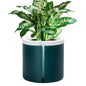 Self Watering Pot for Indoor Plants, Teal, 376