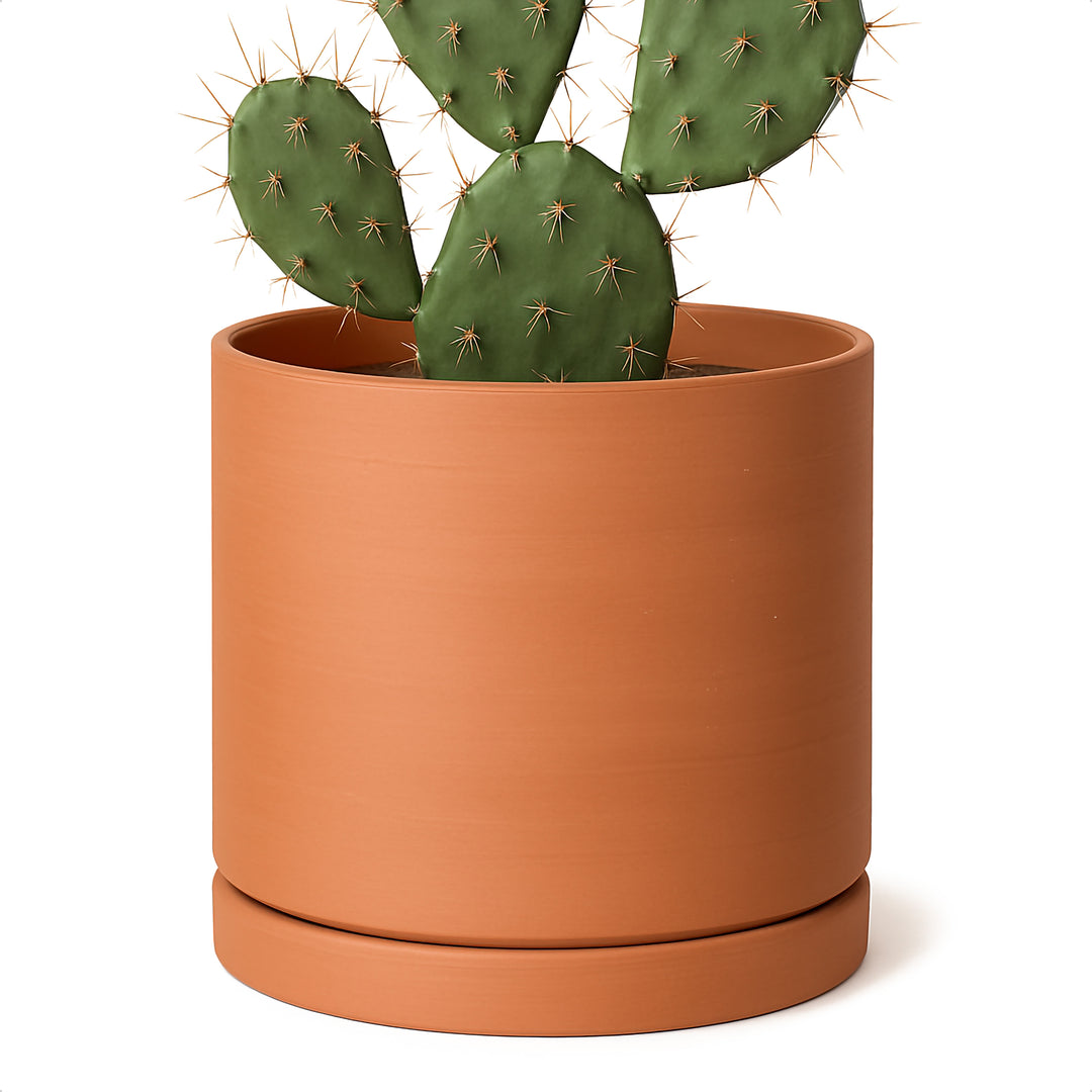 8 inch terracotta plant pots Natural Terracotta Material Plants Pot
