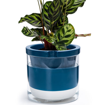 Self Watering Pot for Indoor Plants, Blue, 375