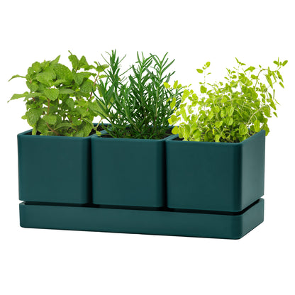 Uncompromising Plastic Herb Garden Planter Set