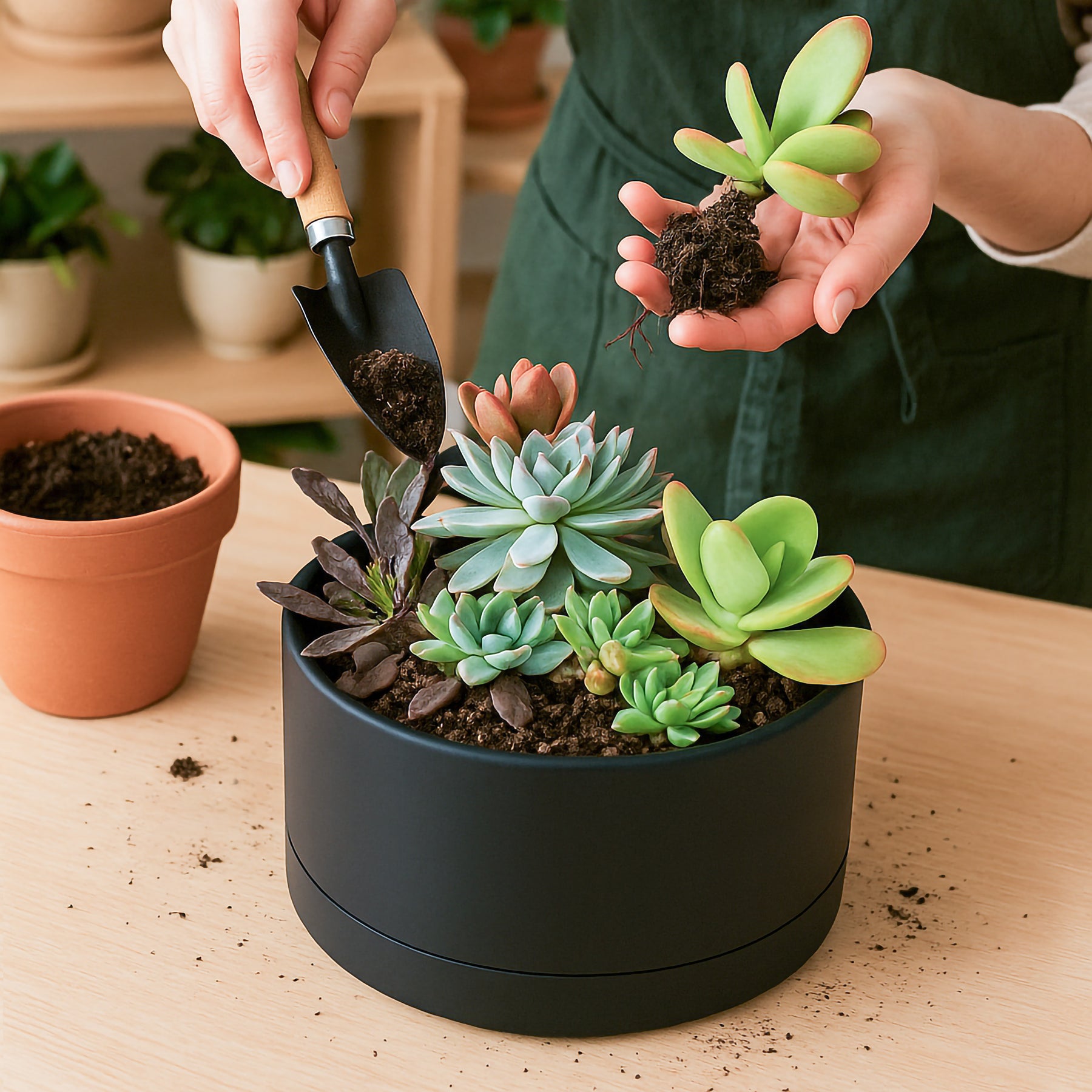 plastic succulent pots D'vine Dev