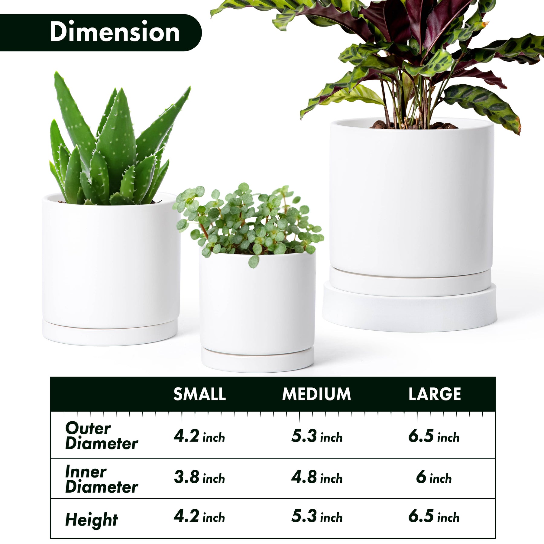 6 inch diameter plant pot Modern Terracotta Pots for Plants, 4 Inch 5 Inch 6 Inch, Succulent Planter Pots with Drainage and Saucer – D'VINE DEV