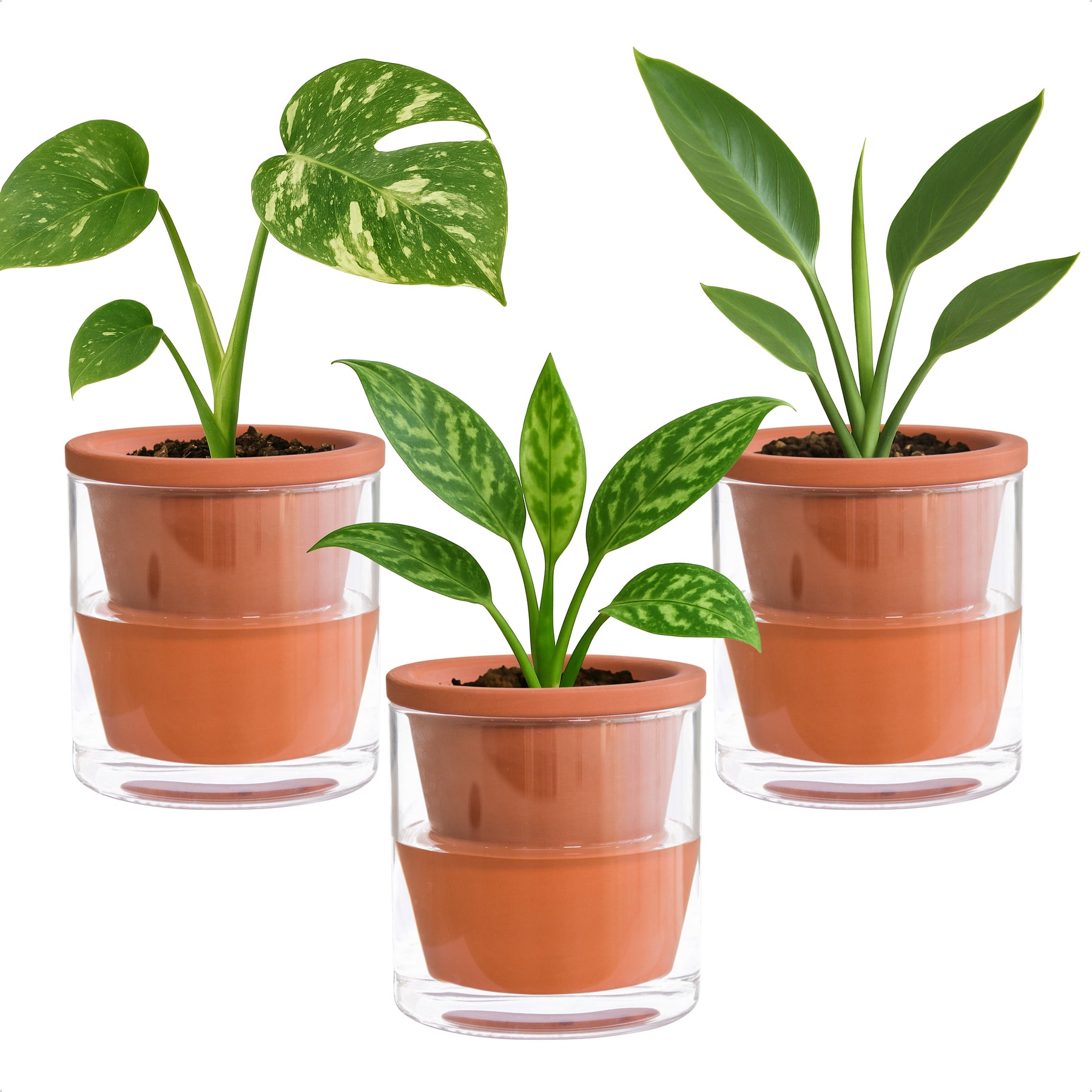 indoor plants terracotta pots D'vine Dev Self Watering Pots, Terracotta Planter with Glass Cup – D'VINE DEV