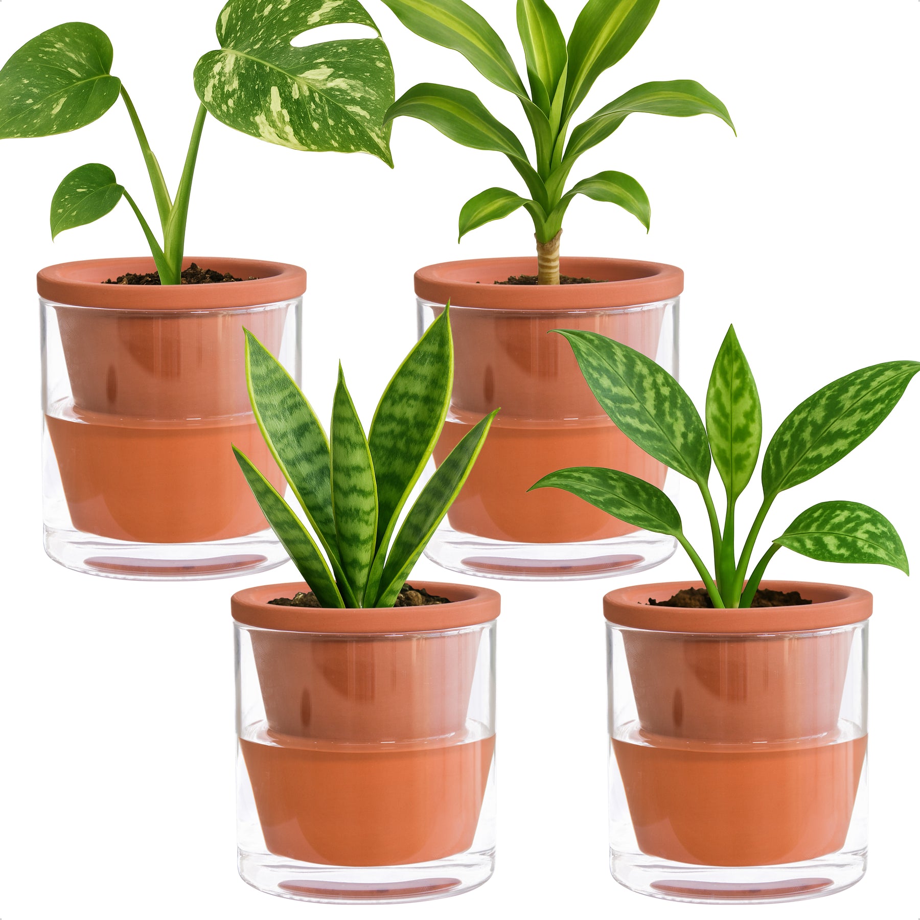 4 inch indoor plant pots D'vine Dev Self Watering Pots, Terracotta Planter with Glass Cup – D'VINE DEV