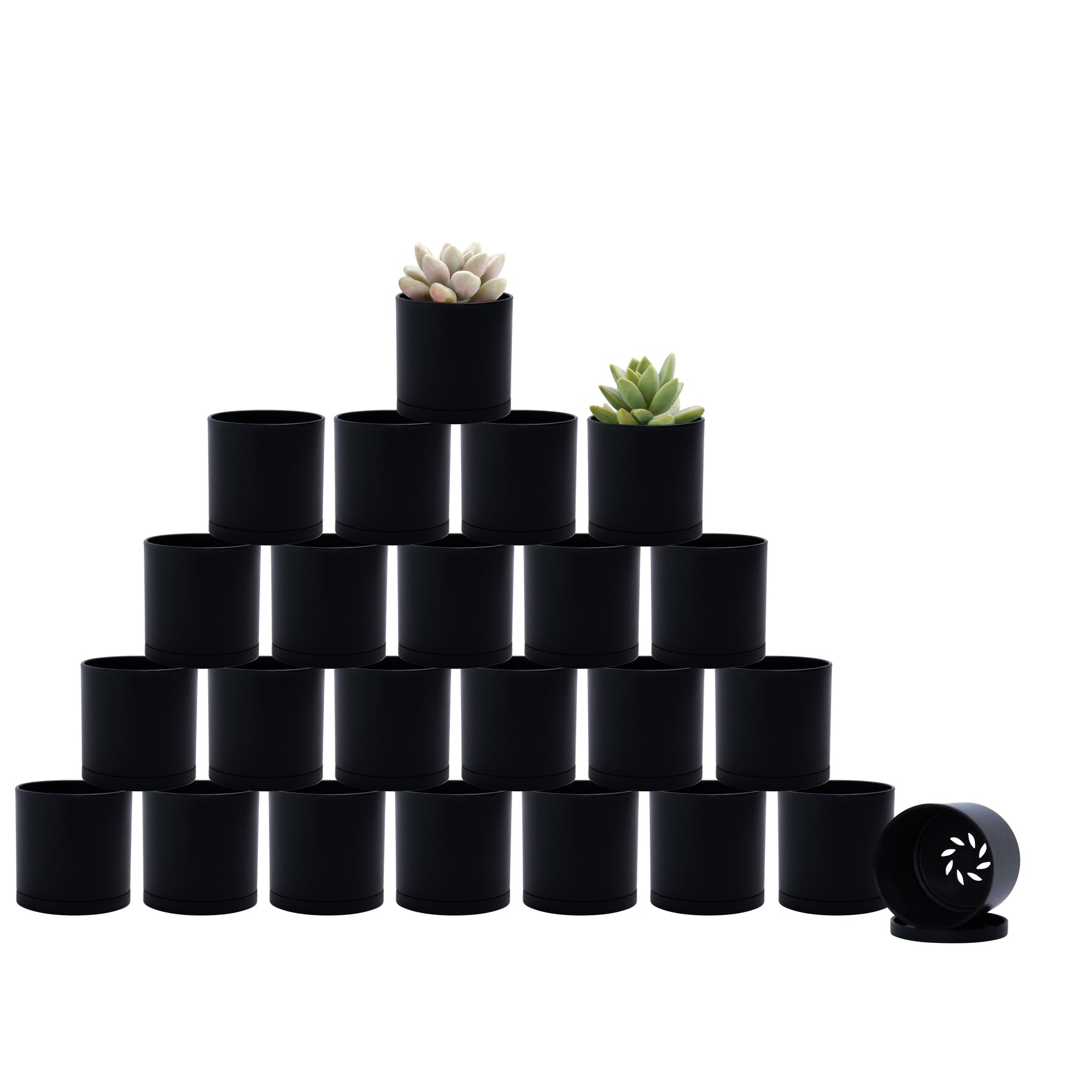 2 inch pots for plants D'vine Dev