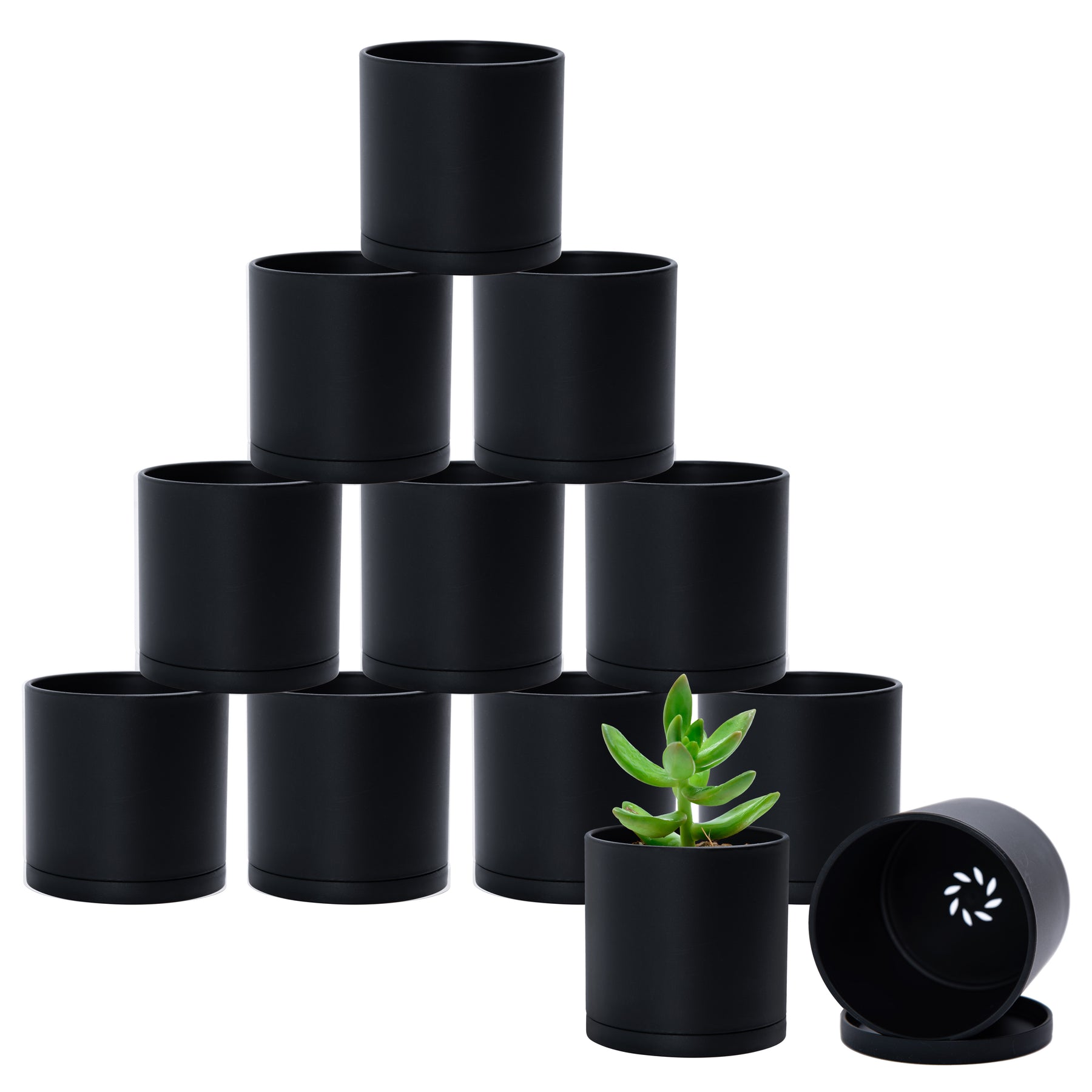 miniature plastic plant pots 12 Pack 3.5 Inch Mini Plastic Plant Pots, Black, 74-Y