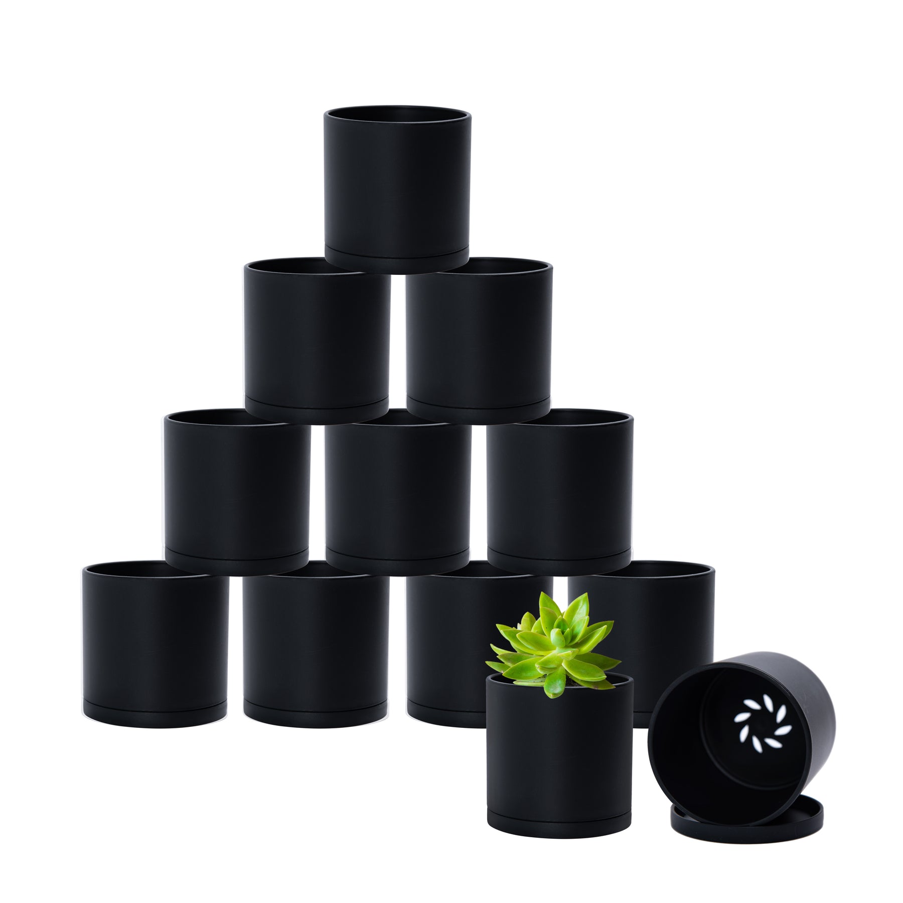 3 inch pots for plants D'vine Dev
