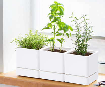 Uncompromising Plastic Herb Planter Indoor