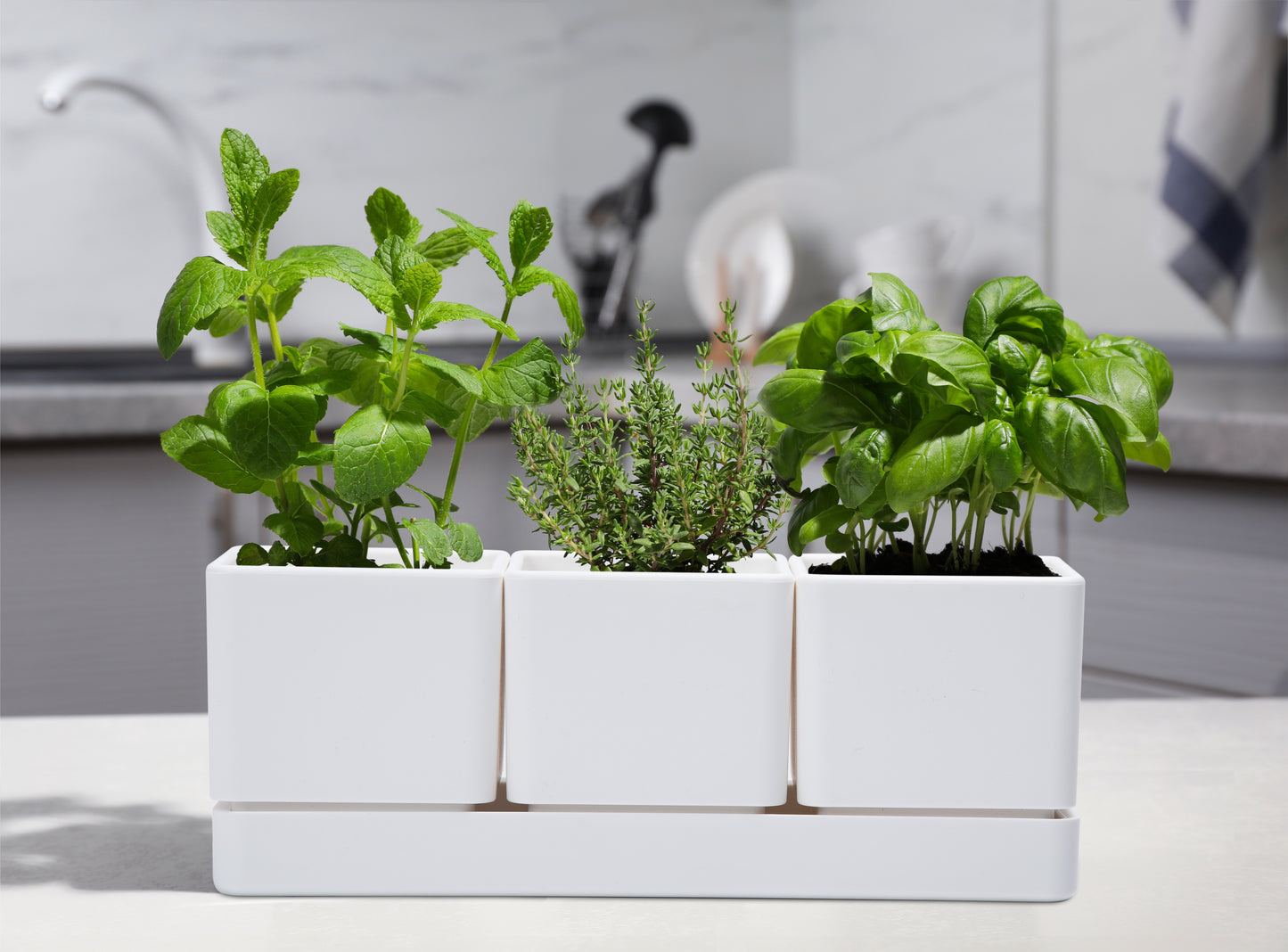 Uncompromising Plastic Herb Garden Planter Set