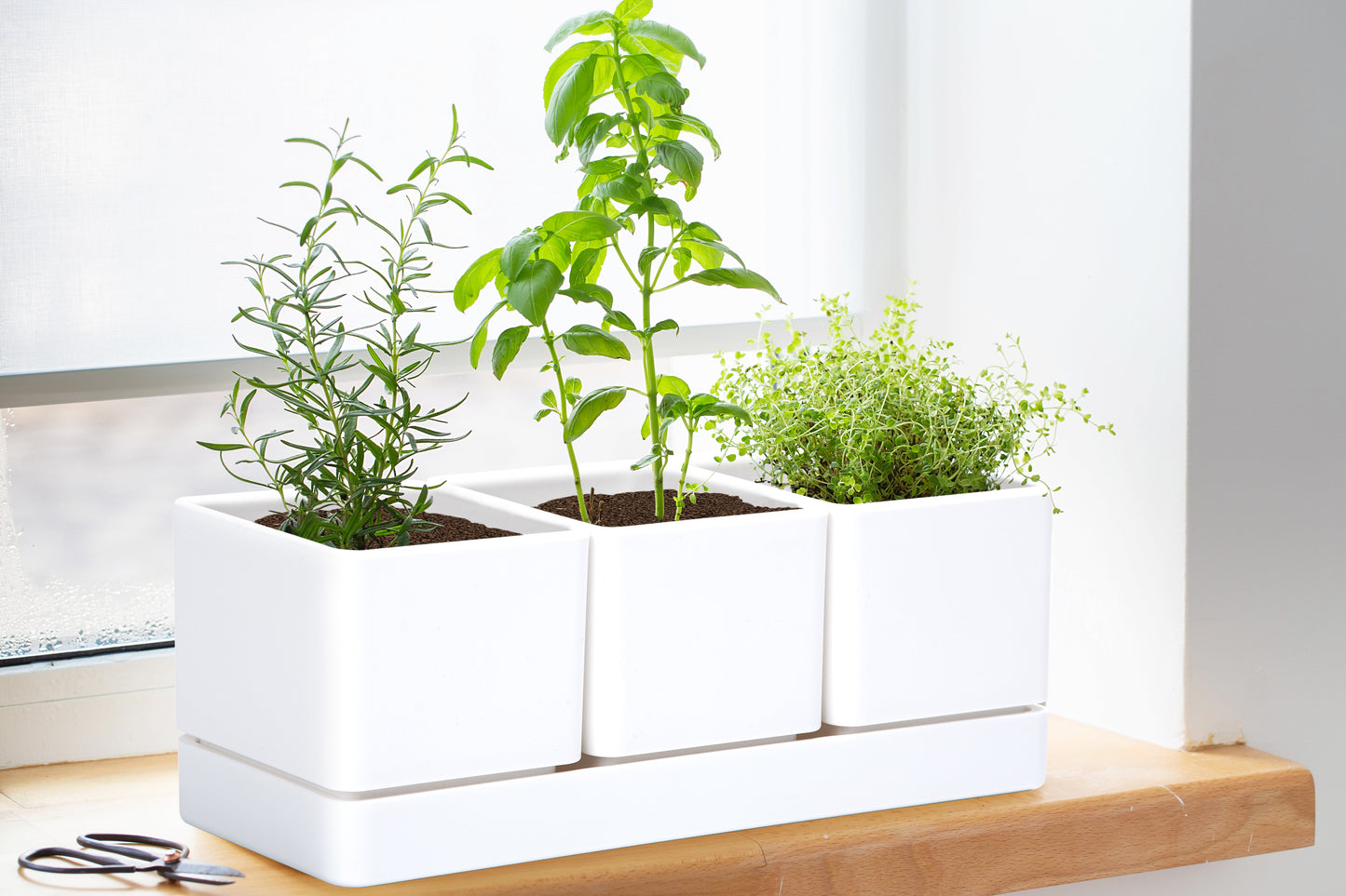 Uncompromising Plastic Herb Garden Planter Set