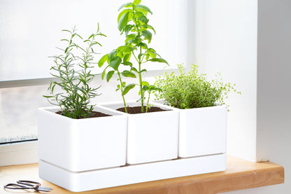 Uncompromising Plastic Herb Garden Planter Set