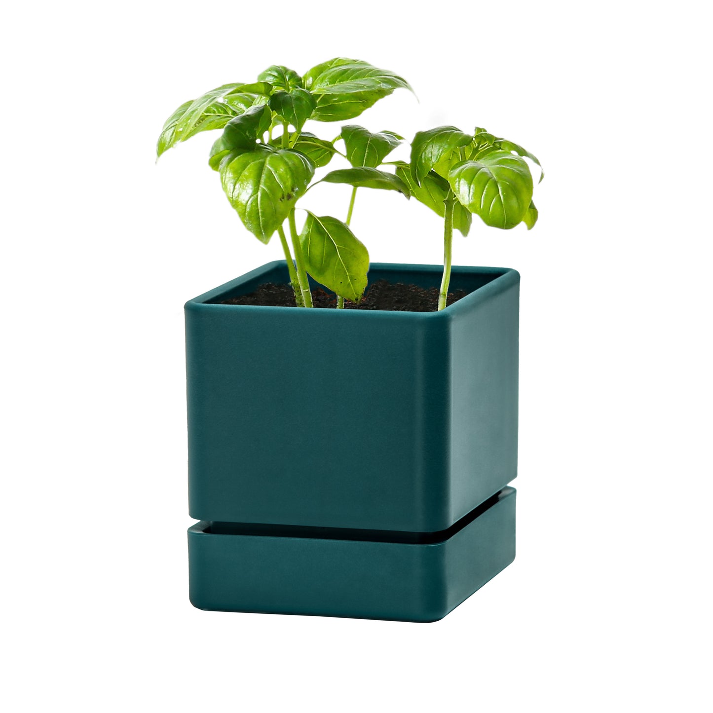 Uncompromising Plastic Herb Planter Indoor