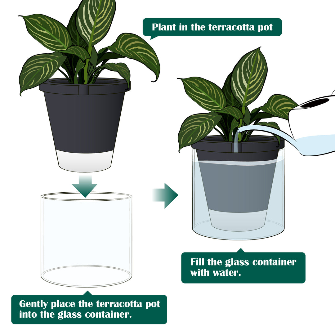 self watering terra cotta planter D'vine Dev Self Watering Pots, Terracotta Planter with Glass Cup – D'VINE  DEV
