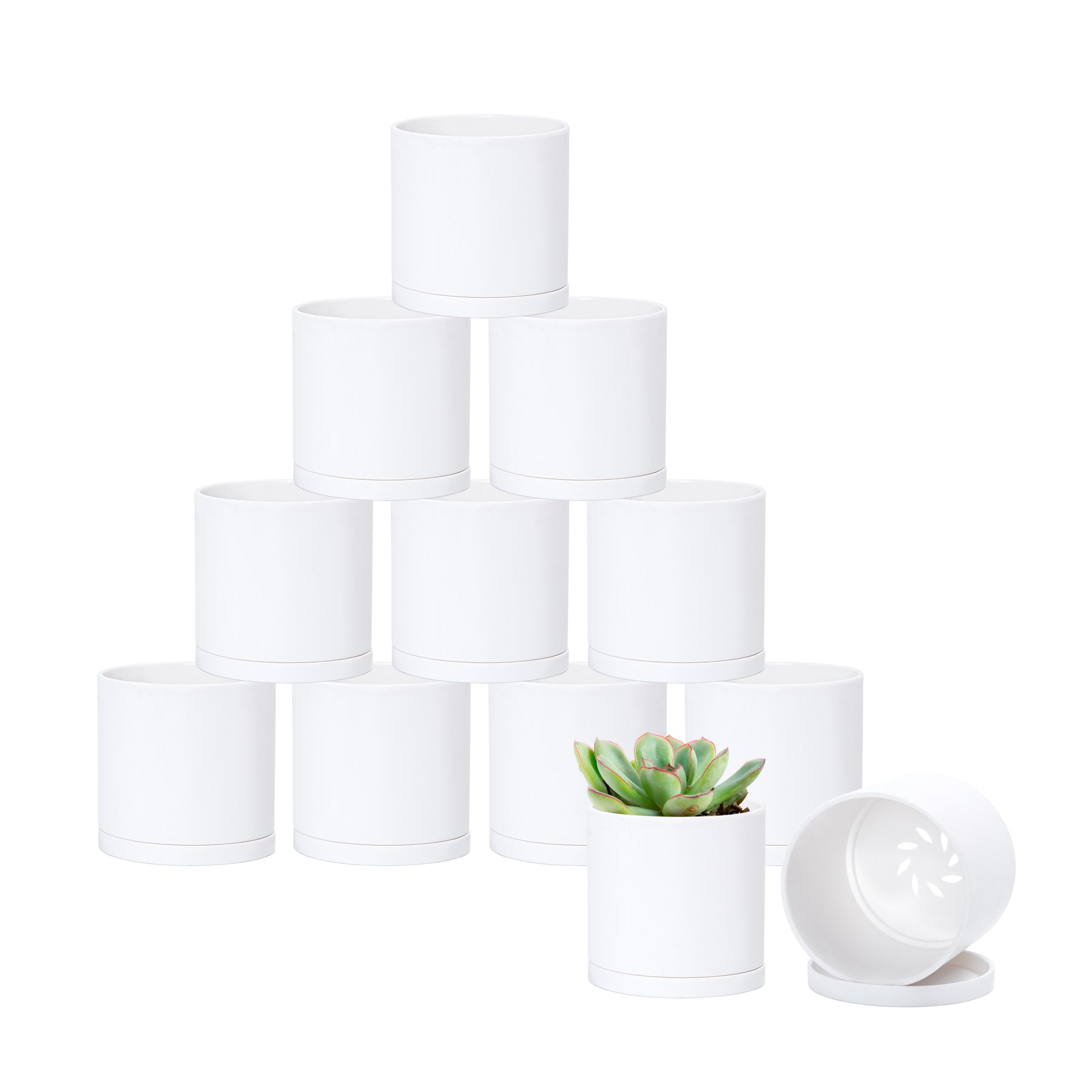 tiny plastic plant pots 12 Pack 3 Inch Mini Plastic Plant Pots, White, 74-Z